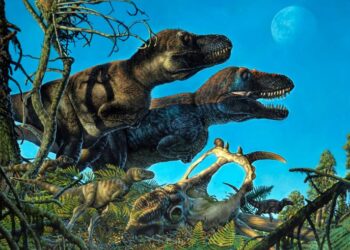 I dinosauri declinano prima dell'incidente meteorico: studio