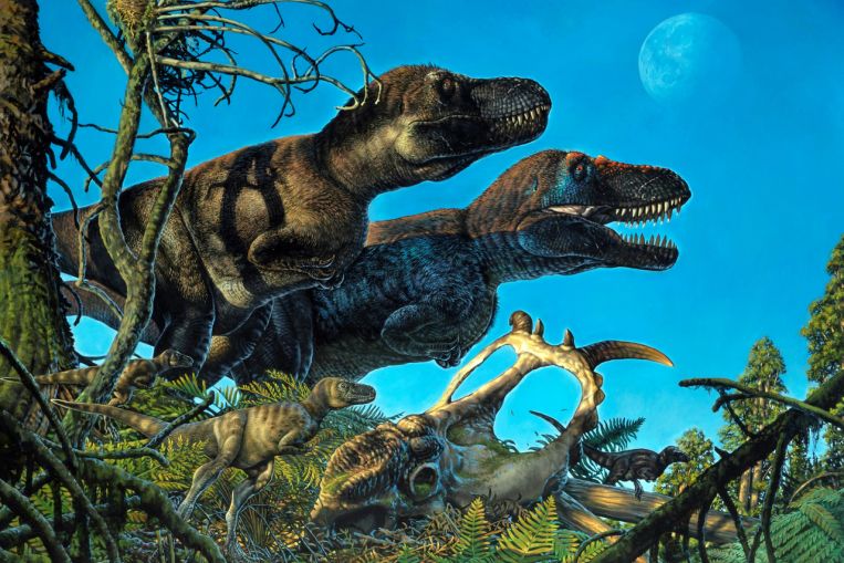 I dinosauri declinano prima dell'incidente meteorico: studio