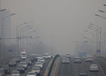 Il mondo deve rimuovere 1 miliardo di tonnellate di anidride carbonica entro il 2025 per raggiungere l'obiettivo climatico: Report