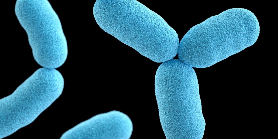 Le proteine ​​di membrana di batteri e umani mostrano sorprendenti somiglianze: ricerca: