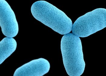 Le proteine ​​di membrana di batteri e umani mostrano sorprendenti somiglianze: ricerca: