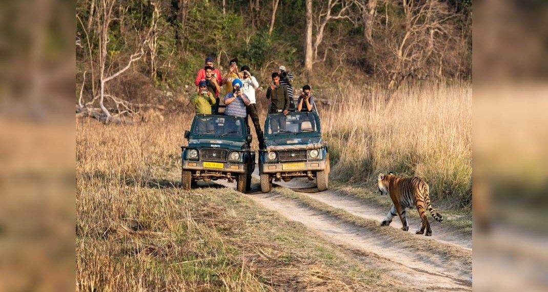 Apre la Riserva della Tigre di Jim Corbett; è ora una destinazione turistica per tutto l'anno