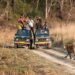 Apre la Riserva della Tigre di Jim Corbett;  è ora una destinazione turistica per tutto l'anno