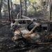 I vigili del fuoco combattono gli incendi boschivi vicino alla periferia di Atene