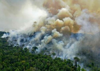 Il riscaldamento e la deforestazione trasformano l'Amazzonia orientale in una fonte di CO2