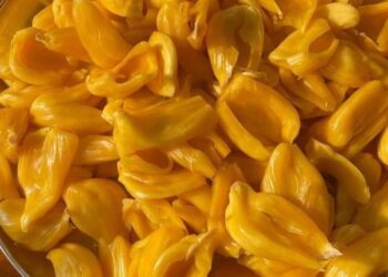 Jackfruit Banana: Rujuta Diwekar giura su questi cinque supercibi.