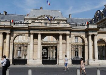 La Francia vieta la cattura di uccelli con la colla dopo la sentenza del tribunale UE