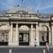 La Francia vieta la cattura di uccelli con la colla dopo la sentenza del tribunale UE