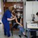 La Grecia offre una ricompensa in denaro per aumentare i tassi di vaccinazione dei giovani