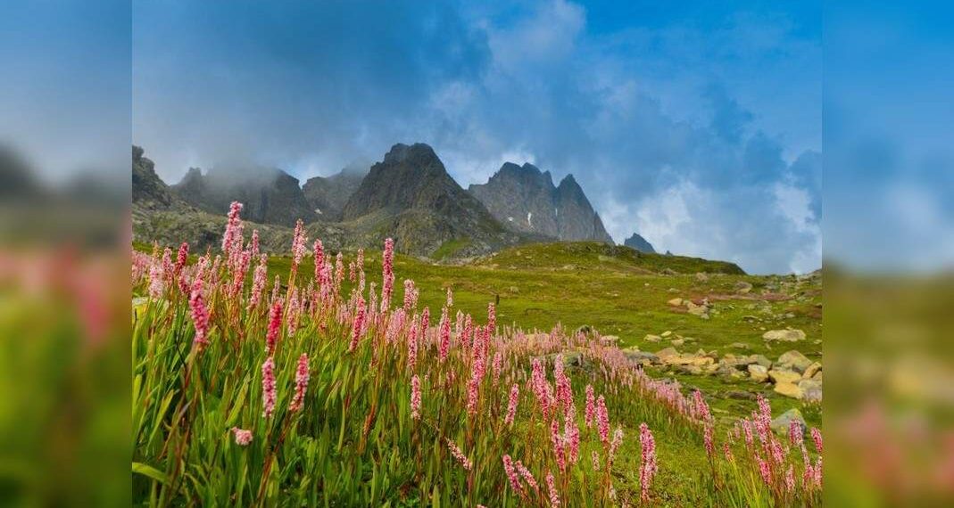 La splendida Valle dei Fiori dell'Uttarakhand apre ai turisti