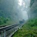 Le ferrovie indiane lanceranno 10 treni Vande Bharat che collegheranno 40 città