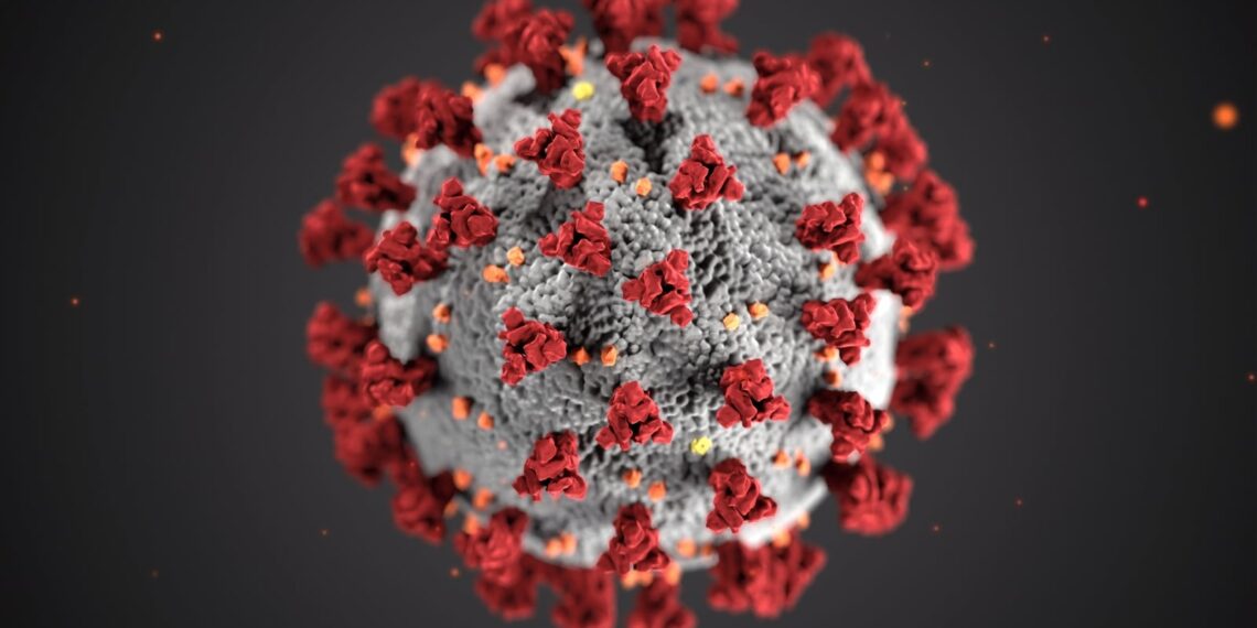 Lo studio mostra come il sistema immunitario può essere addestrato a combattere le infezioni