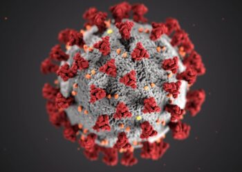 Lo studio mostra come il sistema immunitario può essere addestrato a combattere le infezioni