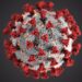 Lo studio mostra come il sistema immunitario può essere addestrato a combattere le infezioni