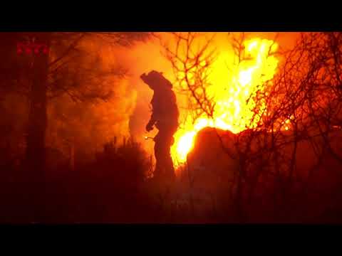 Un incendio sulla Costa Brava spagnola costringe centinaia di persone a lasciare le proprie case
