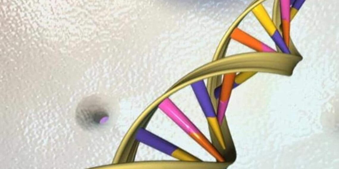 Uno studio recente mostra che solo il 7% del nostro DNA è unico per gli esseri umani moderni