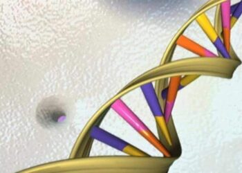 Uno studio recente mostra che solo il 7% del nostro DNA è unico per gli esseri umani moderni