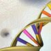 Uno studio recente mostra che solo il 7% del nostro DNA è unico per gli esseri umani moderni