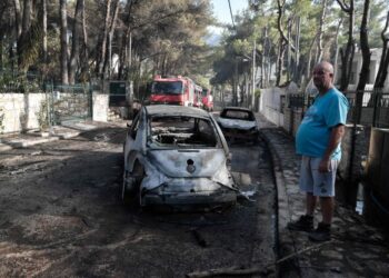 Apicoltore da processare per incendio boschivo vicino ad Atene