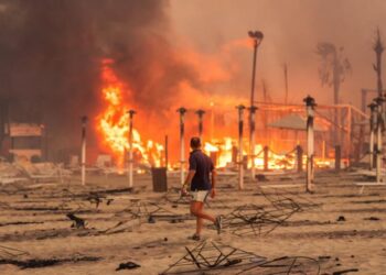Gli incendi boschivi in ​​Italia continuano dopo un caldo record di 48,8 gradi Celsius