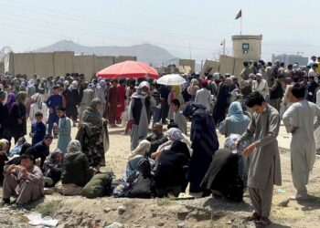 Gli olandesi portano via 35 cittadini dall'Afghanistan dopo che il caos impedisce le evacuazioni