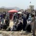 Gli olandesi portano via 35 cittadini dall'Afghanistan dopo che il caos impedisce le evacuazioni