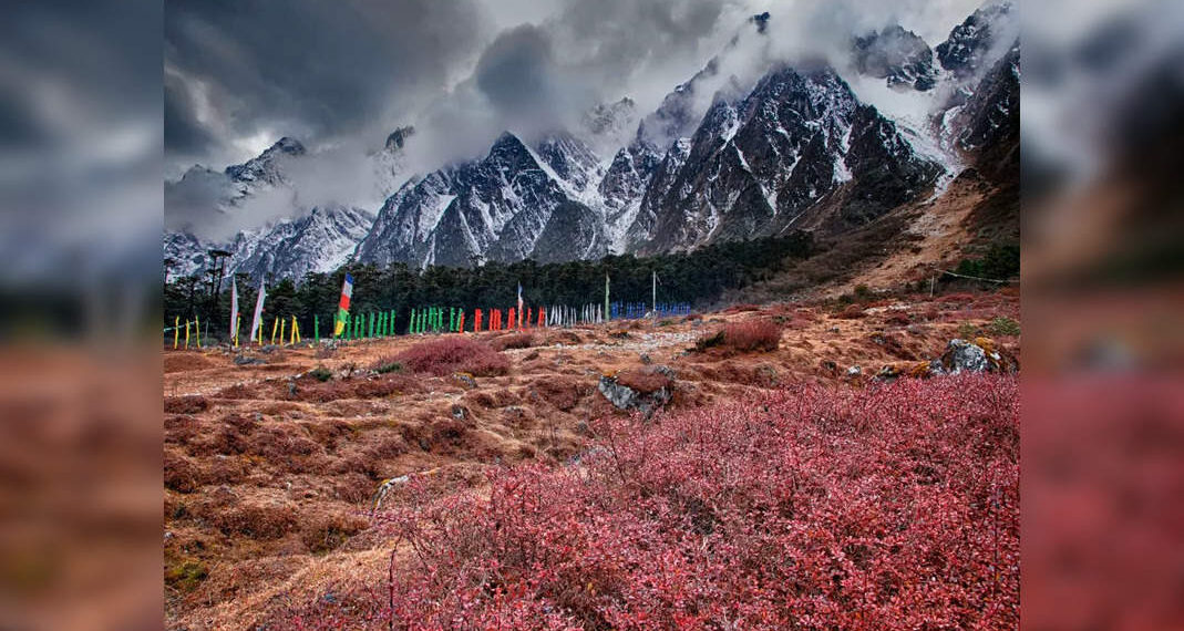Il Sikkim apre la valle di Yumthang ai turisti
