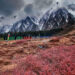 Il Sikkim apre la valle di Yumthang ai turisti
