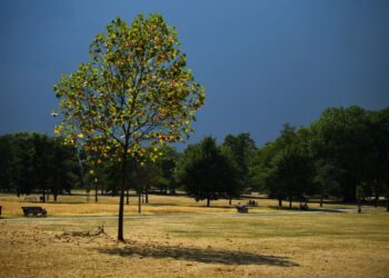 Il clima della Gran Bretagna diventa più caldo, più soleggiato e più umido: Met Office