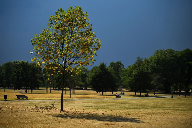 Il clima della Gran Bretagna diventa più caldo, più soleggiato e più umido: Met Office