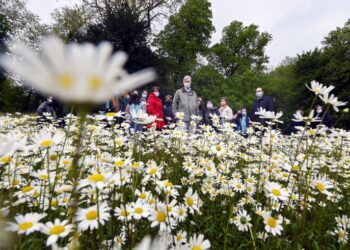 Il vertice delle Nazioni Unite sulla biodiversità sarà rinviato per la terza volta, affermano le fonti
