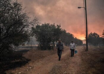 La Grecia combatte gli incendi boschivi per il quinto giorno di "estate da incubo"