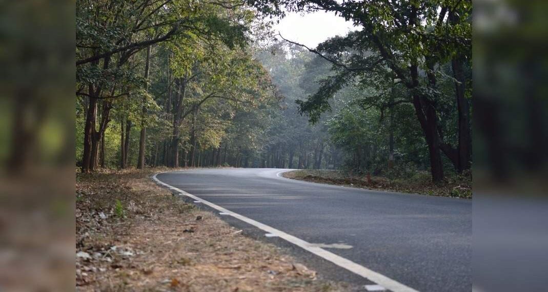 La Kali Tiger Reserve in Karnataka lascia il posto alla chioma