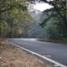 La Kali Tiger Reserve in Karnataka lascia il posto alla chioma