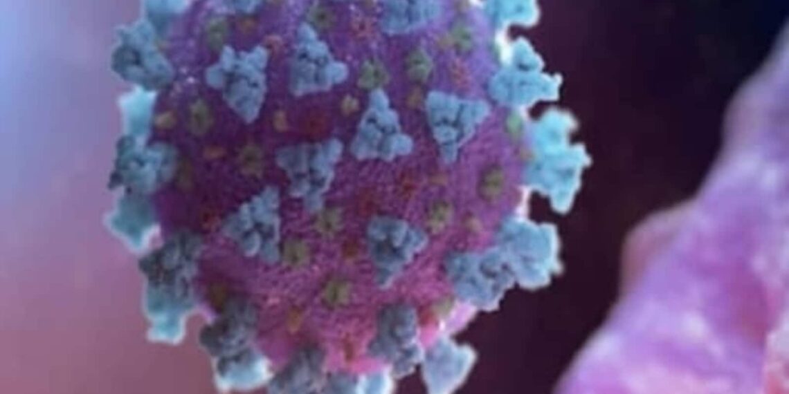 La coagulazione del sangue può essere la causa principale della sindrome da Covid-19 lunga: Studio