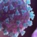 La coagulazione del sangue può essere la causa principale della sindrome da Covid-19 lunga: Studio