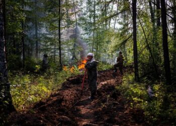 "La nostra patria è in fiamme": i volontari si uniscono alla lotta contro gli incendi boschivi in ​​Siberia