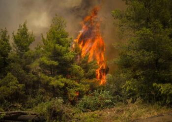 Le fiamme scoppiano di nuovo in Grecia, ma risparmiano l'antica Olimpia