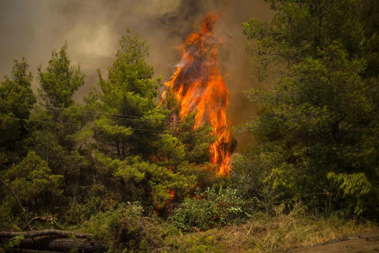 Le fiamme scoppiano di nuovo in Grecia, ma risparmiano l'antica Olimpia