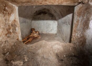 Lo scheletro ben conservato fa luce sulla cultura nell'antica Pompei