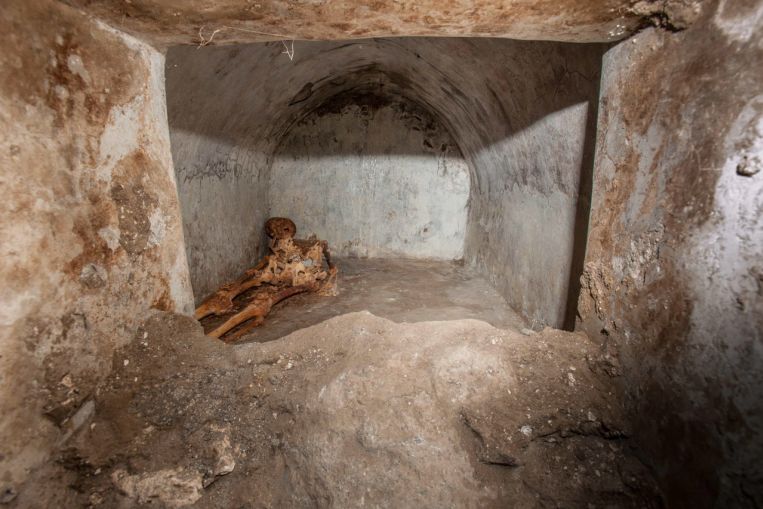 Lo scheletro ben conservato fa luce sulla cultura nell'antica Pompei