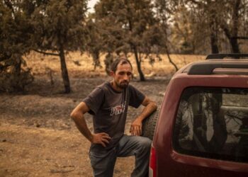 "Mi sono perso": contadino greco sopraffatto dopo che il fuoco ha bruciato il suo gregge di 372 capre