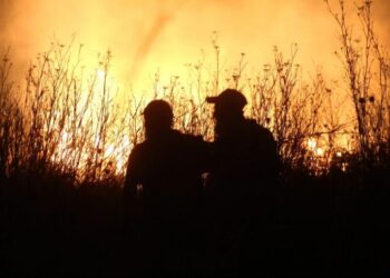 Migliaia di persone fuggono dalla Grecia mentre gli incendi boschivi spazzano il Mediterraneo