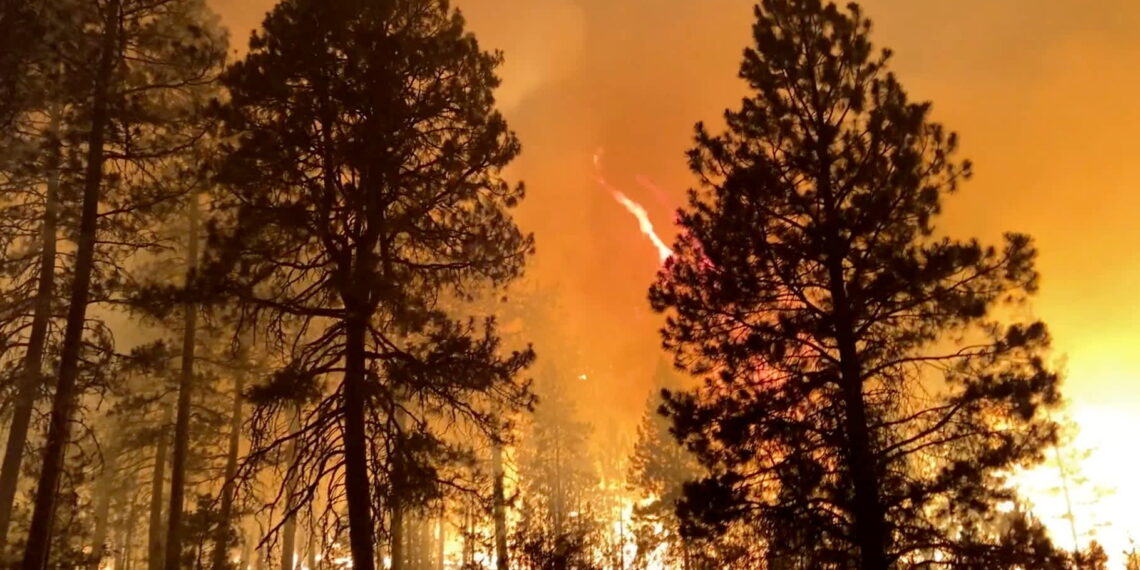Quanto è cattiva la qualità dell'aria del fumo degli incendi boschivi? Queste app ti mostreranno
