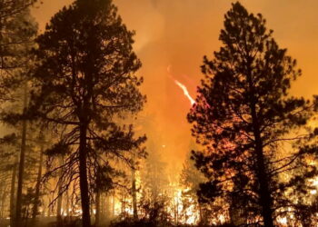 Quanto è cattiva la qualità dell'aria del fumo degli incendi boschivi?  Queste app ti mostreranno