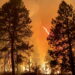 Quanto è cattiva la qualità dell'aria del fumo degli incendi boschivi? Queste app ti mostreranno