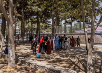 Sei paesi esortano l'UE a non fermare le deportazioni infruttuose dei richiedenti asilo afghani