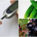 Soffri di diabete?  7 cibi fantastici per controllare i livelli di zucchero nel sangue