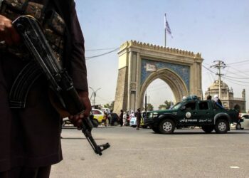 Talebani uccide un parente del giornalista di Deutsche Welle in Afghanistan: Broadcaster