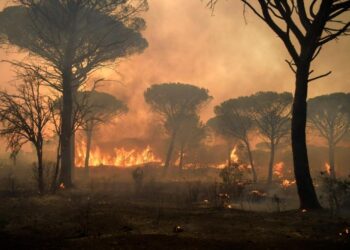 Una persona trovata morta in un incendio in Francia vicino a Saint Tropez